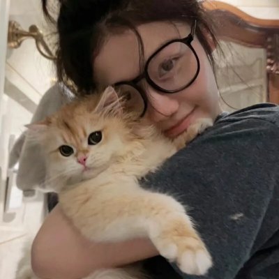 科搜研之女 剧场版